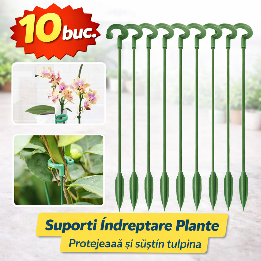 10 Suporti Indreptare Plante