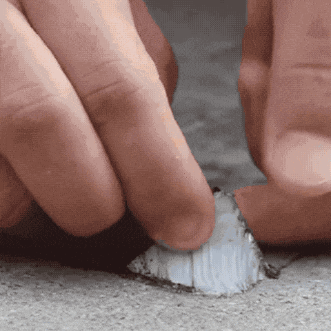 Bandă etanșare infiltrații 5cm x 5metri | DONFIX