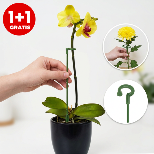 1+1 Set Suporturi de Îndreptare pentru Plante – 20 Bucăți pentru Susținere și Creștere Sănătoasă