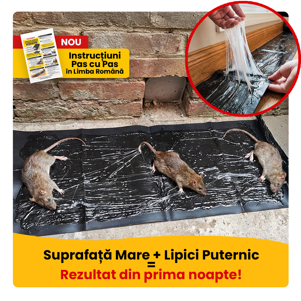 Set 2 buc. Capcane cu Lipici pentru Soareci si Sobolani