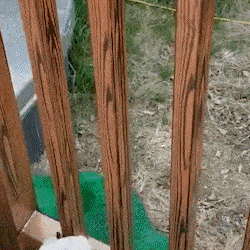 Perie Cauciuc cu Textura de Lemn