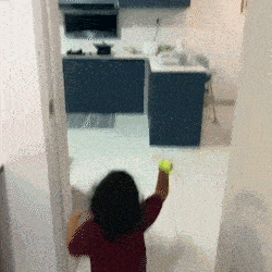 1+1 Palete Tenis Copii | Set Palete Tenis | Activitate Indoor pentru Familie, Copii și Relaxare Activă